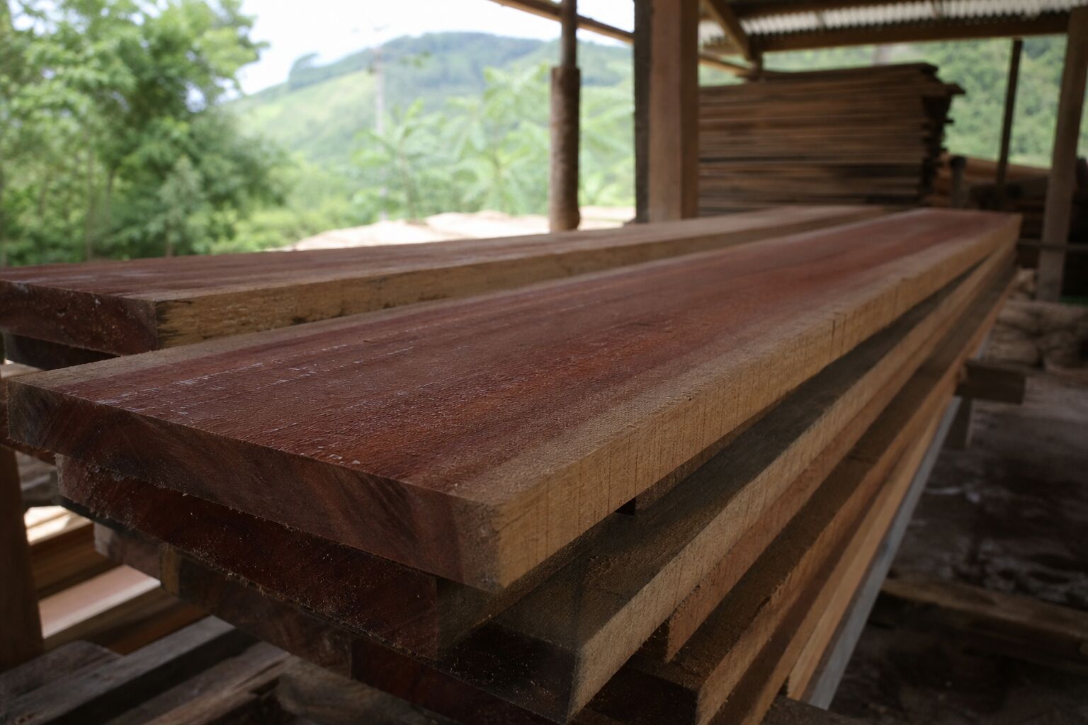 Economía y Producción Tablones de cedro y laurel