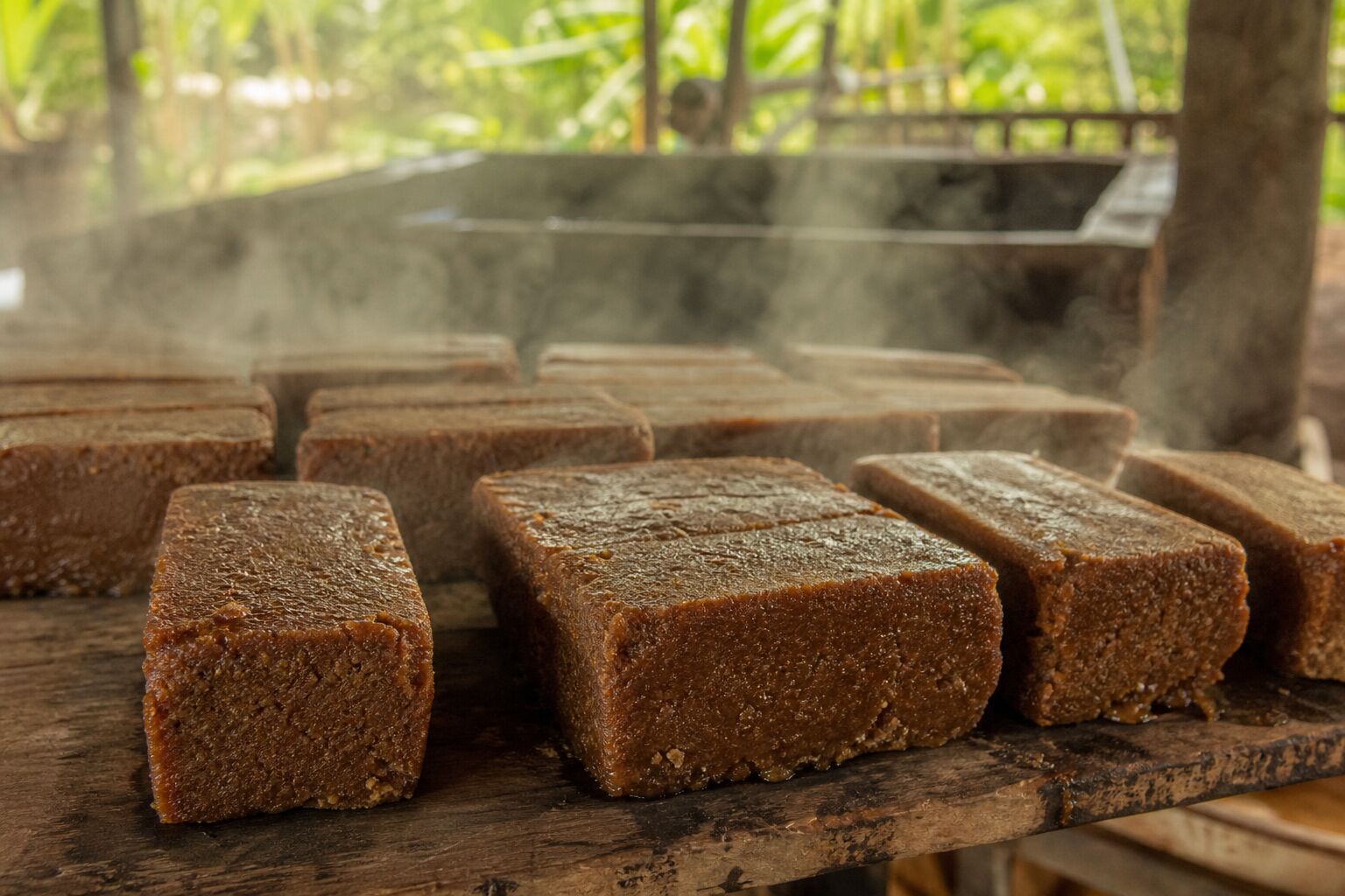 Economía y Producción Bloques de panela artesanal