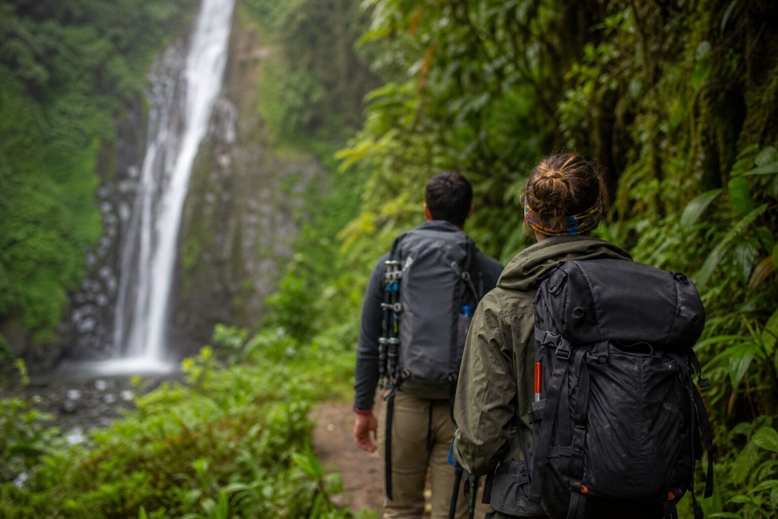 Economía y Producción Sendero de bosque nublado hacia una cascada
